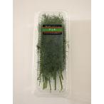  укроп 50g свежий трава еда для Wakayama префектура производство копченый лосось. присоединение соединять, блюдо из рыбы . салат . сходство . хороший 