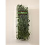  время 15g свежий трава еда для Wakayama префектура производство ... мясо ... делать ...., рыба ...... и т.п. способ тест ... мясо . рыба. мясо для жаркого to. хорошо используется. 