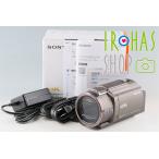 Sony Handycam FDR-AX45A　With