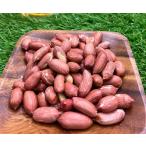 iro.iro.千葉産素煎りピーナッツ200ｇ　【ジップパック入り】　送料無料