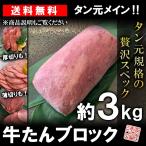 牛タン ブロック 約3kg タン元規格 