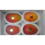 良品マンゴー2kg （4〜6玉）　白箱入