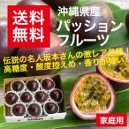 パッションフルーツ家庭用 約1Kg （9 個から11 個）※優品