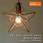 天井照明星形1灯ペンダントライトI...