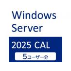 I-O DATA APS-WS25UCAL5 Windows Server 2025 CAL 5 пользователь 
