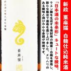 日本酒 新政 亜麻猫 白麹仕込 純米酒 720ml (あらまさ あまねこ) キュートな酸味。新感覚な日本酒！