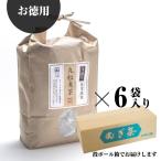 井指製茶 浅煎り丸粒麦茶三角TB【６