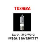  Toshiba KR100110V45WXE17 Mini kliX