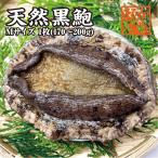 天然黒あわび Mサイズ 170〜200g　1枚 [あわび]