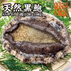 送料無料　天然活黒あわび　お手軽なSＳサイズ　120ｇ〜140ｇ　5枚 [あわび]