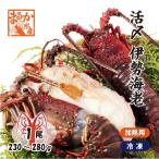 伊勢海老　冷凍（加熱用）　中大（230〜270ｇ）　　[魚介類]　（活〆冷凍）