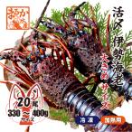 .. Исэ город море .( рефрижератор нагревание для ) довольно большой размер 330~400g [ рефрижератор Исэ город море .]( входить число :20 хвост *, так же отправка )