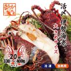 .. Исэ город море .( рефрижератор нагревание для ) довольно большой размер 330~400g [ рефрижератор Исэ город море .]( входить число :20 хвост *, половина сломан . отправка )