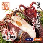 .. Исэ город море .( рефрижератор нагревание для ) большой размер 400~500g * [ рефрижератор Исэ город море .]( входить число :1 хвост, половина сломан . отправка )