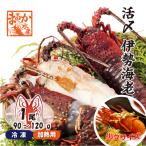 .. Исэ город море .( рефрижератор нагревание для ) немного размер 90~120g [ рефрижератор Исэ город море .]( входить число :1 хвост )