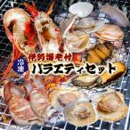 ショッピングホタテ 海鮮バーベキュー 伊勢海老付き バラエティセット（5種）伊勢海老1 蒸し鮑3〜5 イカ2 ホタテ5 はまぐり5 ★[冷凍BBQ]