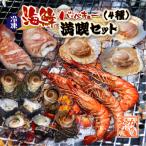 ショッピングホタテ 海鮮バーベキュー 満喫4種セット（有頭海老5・ホタテ5・イカ2・さざえ8・特製タレ）★[冷凍BBQ]