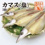 特選干物 カマス（塩）3枚 （冷凍）[干物]