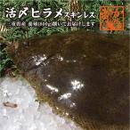 活〆ひらめ 捌いてお届け！(スキンレス）800g 1尾 [魚介類]