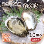 天然 生食用岩がき（400/450g）10個（