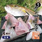 冷凍 活〆カンパチ カマ 国産(養殖)　5個セット[冷凍鮮魚]