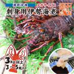  sashimi для Исэ город море ... рефрижератор mega размер 1 хвост 1kg и больше бесплатная доставка [.. рефрижератор Исэ город море .]