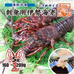 * sashimi для Исэ город море ... рефрижератор меньше размер 160~200g[ sashimi для Исэ город море .]( входить число :5 хвост *)