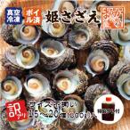 冷凍 天然 姫さざえ ボイル済 訳あ