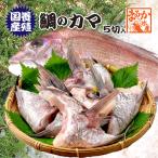 * рефрижератор морской лещ. kama( местного производства ..)5 порез входить [ морепродукты ]