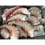  натуральный море .si- Tiger очень большой море .