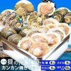 貝の海宝焼 牡蠣8個 さざえ4個 ホンビノス貝4個 ほたて片貝10個 送料無料 冷凍貝セット(牡蠣ナイフ、片手用軍手付)カンカン焼き ミニ缶入 海鮮BBQ