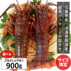 伊勢海老 三重県産 ９００ｇ サイズ限定