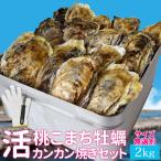 ショッピングkg 牡蠣 カンカン焼き セット 桃こまち サイズ 無選別 ２ｋｇ（３０個前後入り） ミニ缶入り 加熱用 （牡蛎ナイフ・片手用軍手付き） 殻付き牡蠣 海鮮