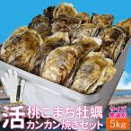 牡蠣 カンカン焼き セット 桃こまち サイズ 無選別 １０ｋｇ（約１２０個前後入） 一斗缶入 加熱用 （牡蛎ナイフ・片手用軍手付き） 殻付き牡蠣 海鮮