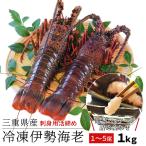  три слоя префектура производство Исэ город море ....1 хвост ~5 хвост . примерно 1kg бесплатная доставка sashimi для момент рефрижератор лангуст хвост число выбор .. подарок по случаю конца года подарок 