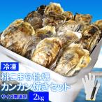 ショッピング桃 牡蠣 カンカン焼き セット サイズ無選別 ２ｋｇ（２５〜３０個前後入） 冷凍 送料無料 桃こまち ミニ缶入（牡蠣ナイフ・片手用軍手付き）旬凍桃こまち