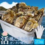 桃こまち 牡蠣カンカン焼き ２０個 ミニ缶入 （牡蠣ナイフ・片手用軍手付）三重県鳥羽の離島 希少 牡蛎 殻付き牡蠣 海鮮 バーベキューセット