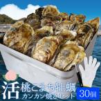 ショッピングナイフ 桃こまち 牡蠣 カンカン焼きセット ３０個 ミニ缶入 （牡蠣ナイフ・片手用軍手付き）三重県 鳥羽の離島 希少 牡蛎 殻付き牡蠣 海鮮バーベキューセット