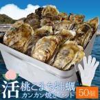 桃こまち 牡蠣 カンカン焼き ５０個