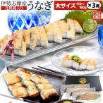 うなぎ 伊勢志摩産 白焼き 大サイズ 3尾 送料無料 国産 ウナギ 鰻 蒲焼き 丑の日 個包装 冷凍 化粧箱入 お中元 ギフト