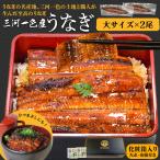 うなぎ 三河産 たれ 大サイズ 2尾 国産 ウナギ 鰻 蒲焼き 丑の日 山椒たれ付 個包装 冷凍 愛知県産 三河一色 化粧箱入 父の日 ギフト