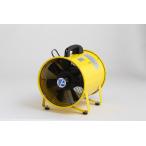 アイセブン 送排風機 ストレートタイプ FS-300R