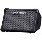 Roland / CUBE Street EX Battery Powered Stereo Amplifier  ローランド アンプ