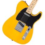 Fender / Standard Telecaster Maple Fingerboard Black Pickguard Butterscotch Blonde (池袋店) フェンダー 新製品 スタンダードシリーズ