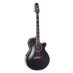 Takamine / FPT181AC SBL 100 Series ショート・スケール 高峰楽器製作所 タカミネ 日本製 エレアコ