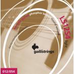 Gallistrings / LS1254 Light ライトゲージ・アコースティック弦 イタリア製 (フォスファーブロンズ仕様)
