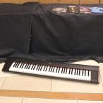 ( б/у )YAMAHA / NP-31 ( слива рисовое поле магазин )