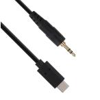 TRUE DYNA / TD-USB-F015 15cm USB TYPE-C x 3.5mmステレオミニジャック (福岡店)