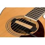 (WEBSHOPクリアランスセール)Fender / Cypress Single-Coil Acoustic Soundhole Pickup Natural フェンダー (アコギ用ピックアップ)