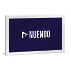 Steinberg старт Inver g/ Nuendo 15 ( обычная версия ) (NUENDO/R)( загрузка версия mail поставка товара оплата при получении не возможно )